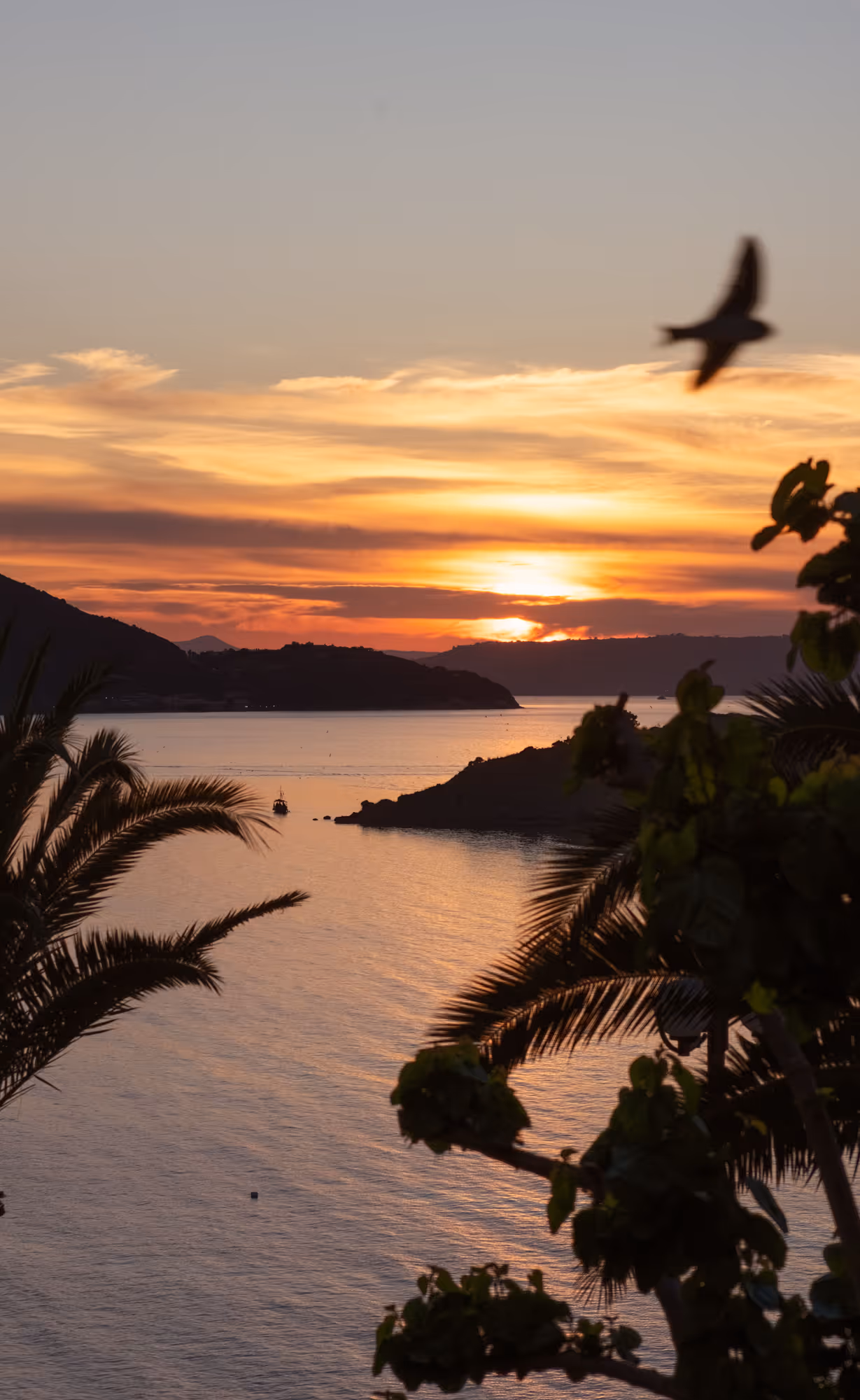 Sunset in paradise